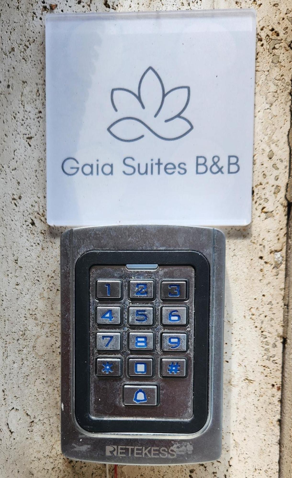 Gaia Suites - A Due Passi Dal Centro - Parcheggio Privato ตูริน ภายนอก รูปภาพ